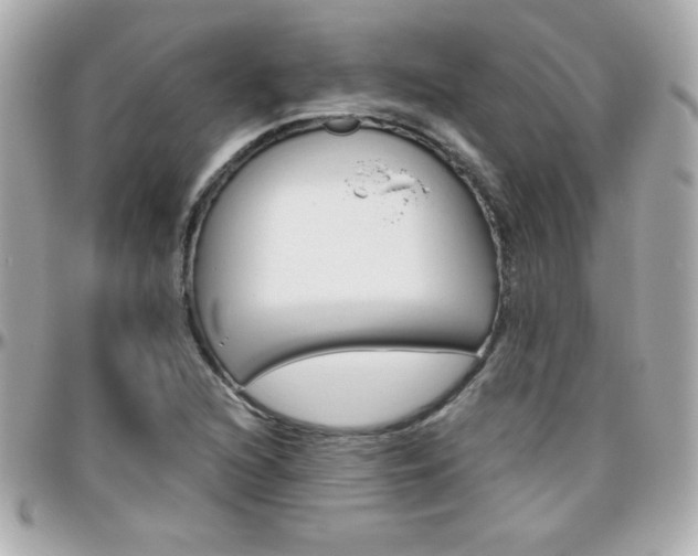 X0000096401216200801240956