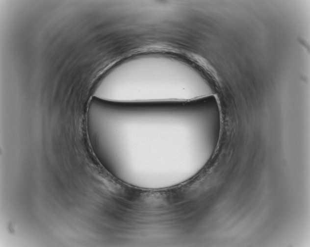 X0000096401217200801240956