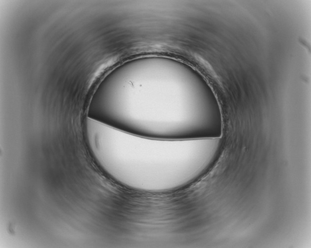 X0000096401218200801240956