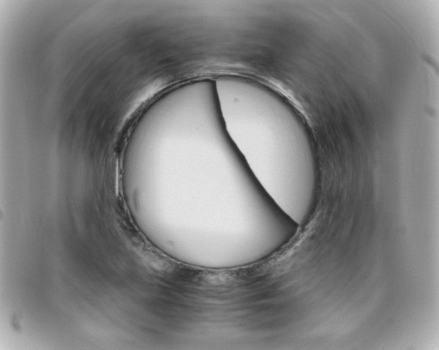X0000096401219200801240956