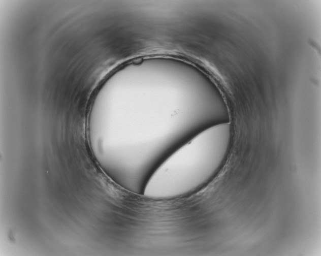 X0000096401220200801240956