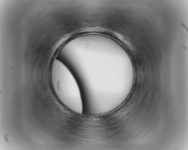 X0000096401221200801240956