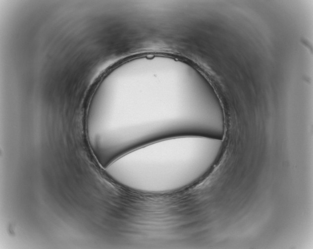 X0000096401222200801240956
