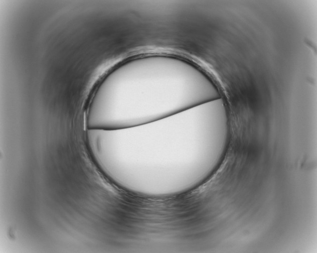 X0000096401223200801240956