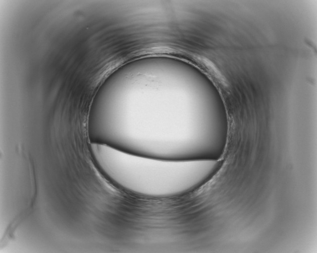 X0000096401225200801240956