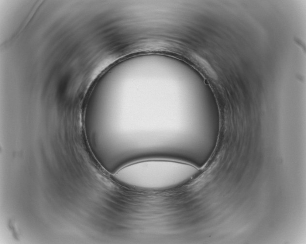 X0000096401226200801240956
