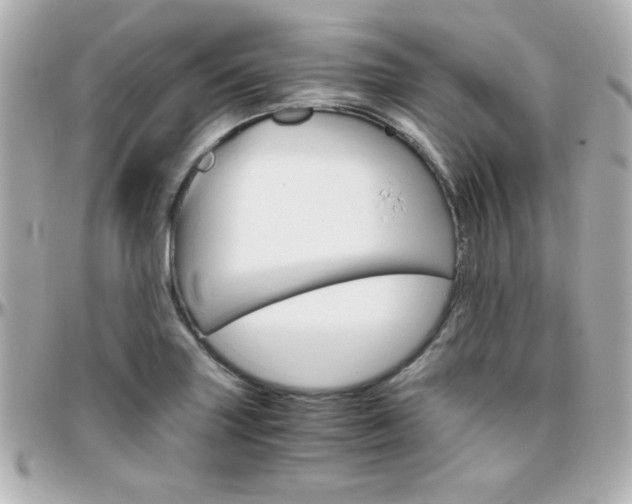 X0000096401227200801240956