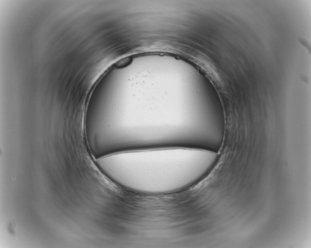 X0000096401228200801240956