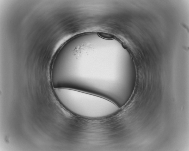 X0000096401230200801240956