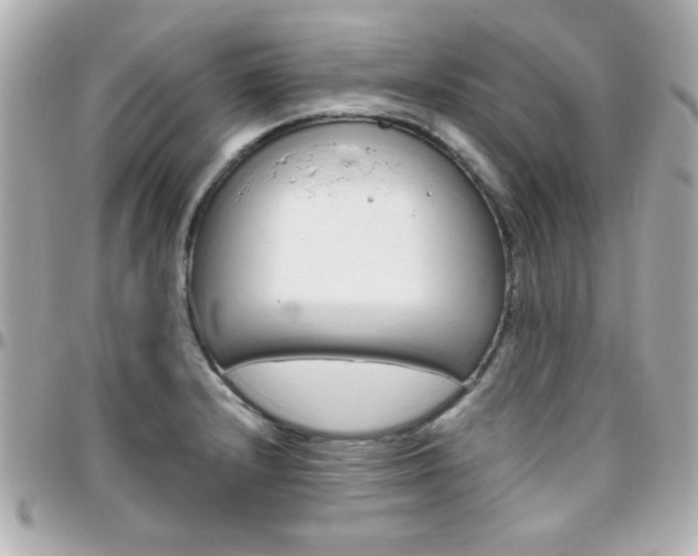 X0000096401232200801240957