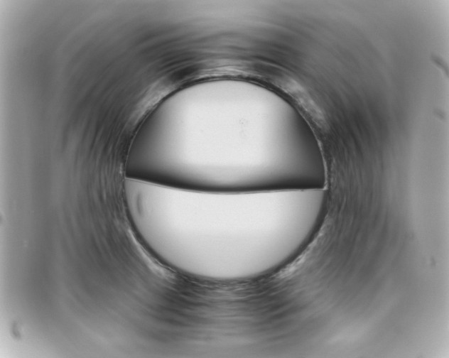 X0000096401233200801240957