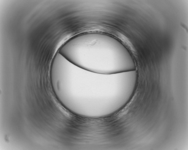 X0000096401234200801240957