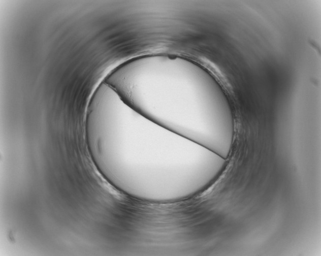 X0000096401236200801240957