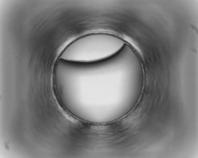 X0000096401237200801240957