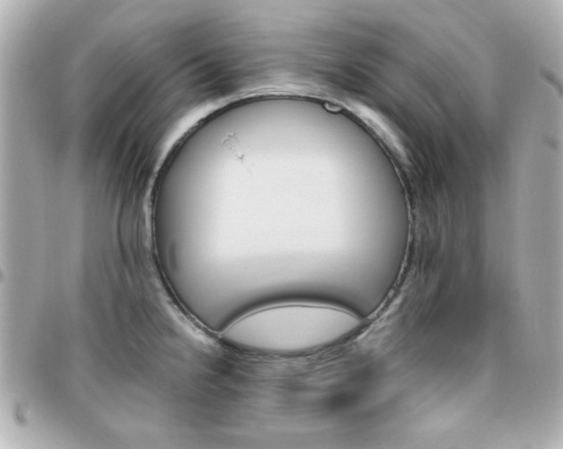 X0000096401238200801240957