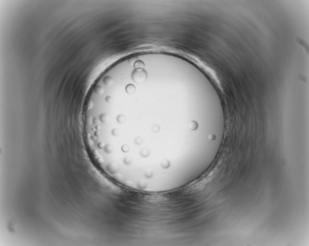 X0000096401239200801240957