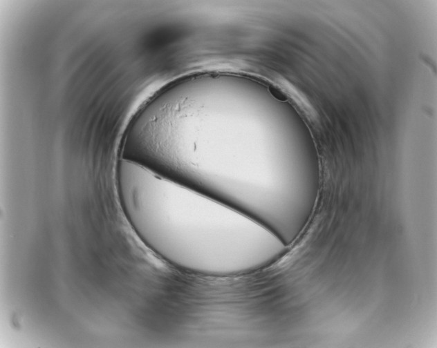 X0000096401240200801240957