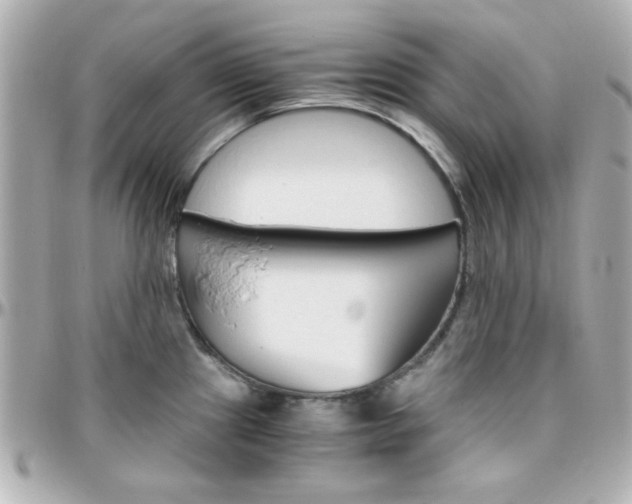X0000096401241200801240957