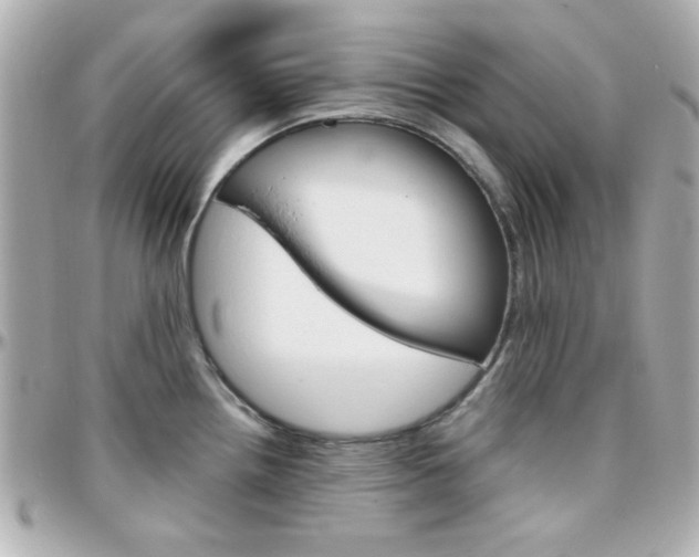 X0000096401242200801240957