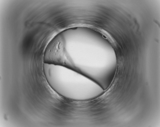 X0000096401244200801240957