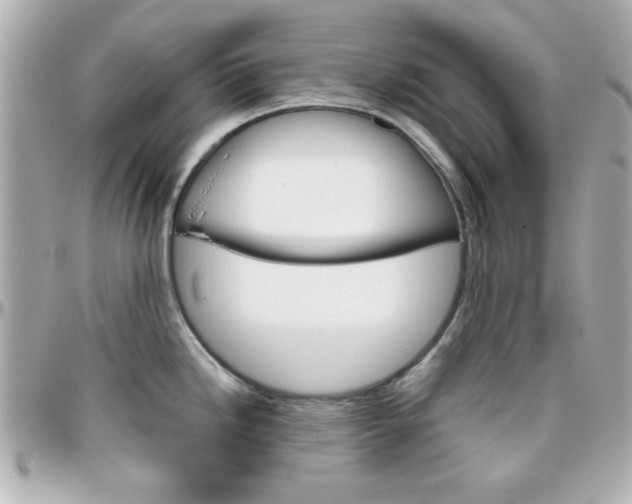 X0000096401246200801240957