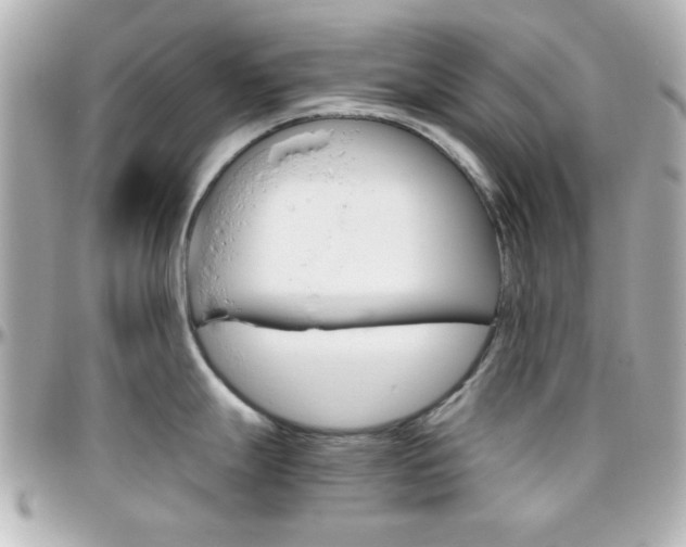 X0000096401247200801240957