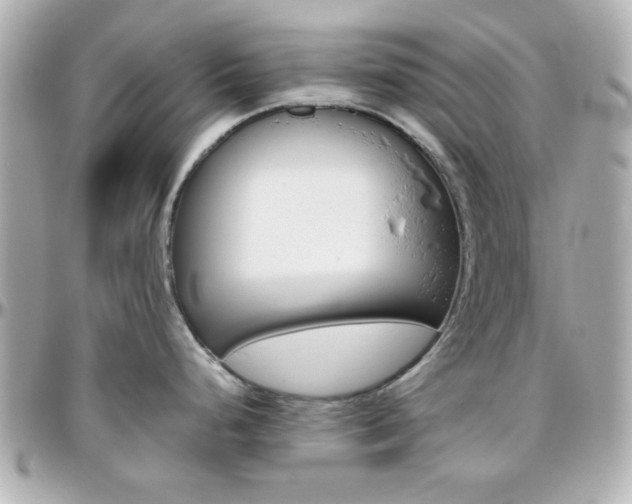X0000096401248200801240957