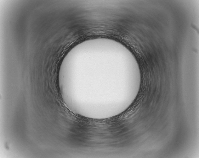 X0000096401249200801240956