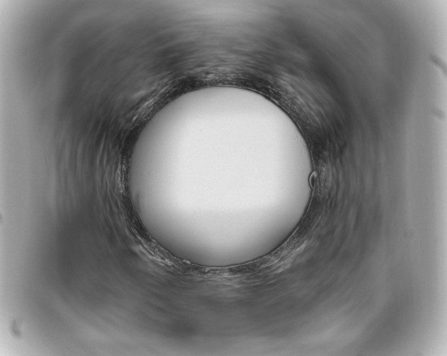 X0000096401250200801240956