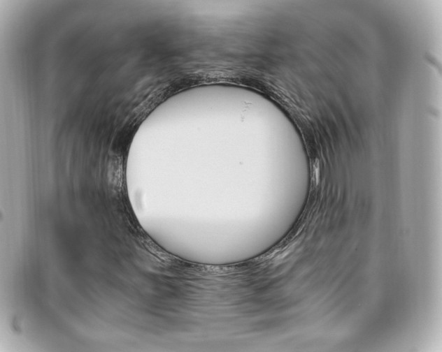 X0000096401251200801240956