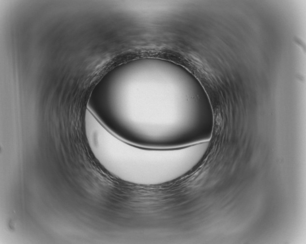 X0000096401252200801240956