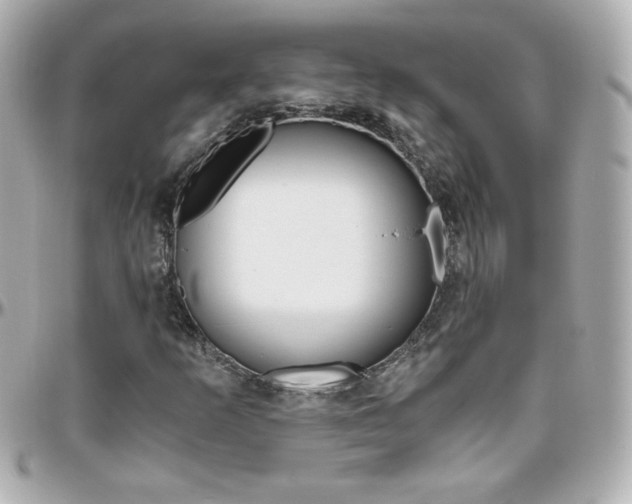 X0000096401253200801240956