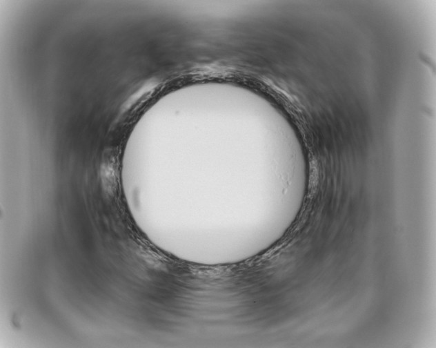 X0000096401254200801240956