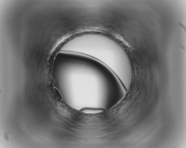 X0000096401256200801240956