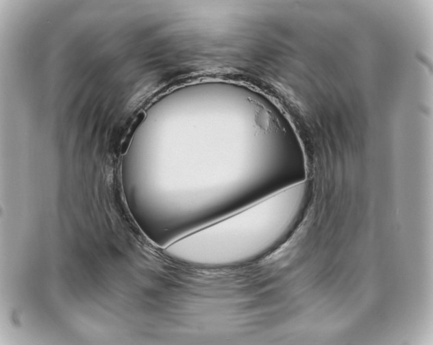 X0000096401257200801240956