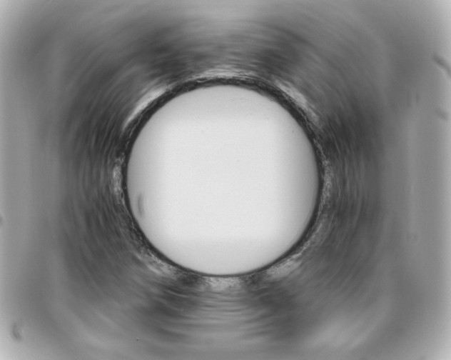X0000096401258200801240956