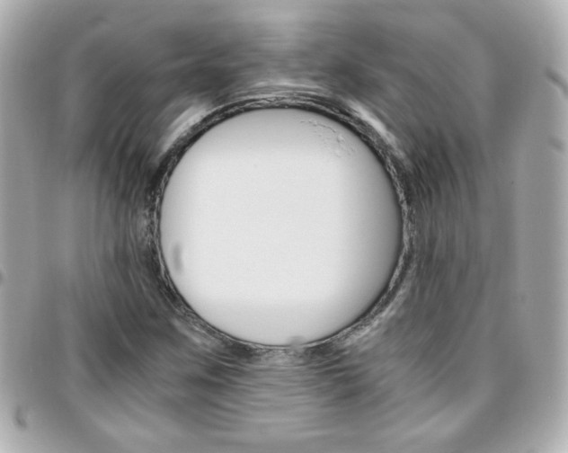 X0000096401259200801240956