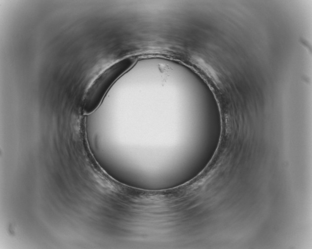 X0000096401260200801240956