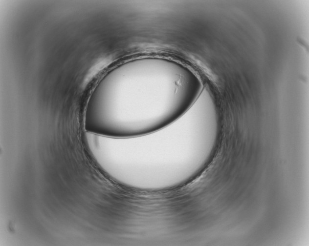 X0000096401261200801240956
