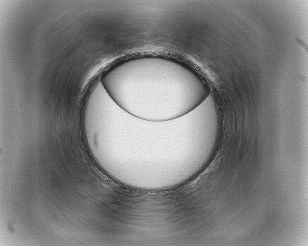 X0000096401262200801240956