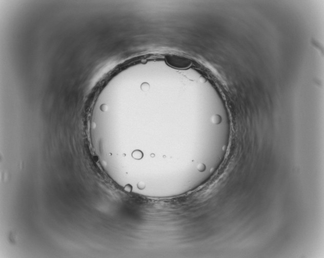 X0000096401263200801240956