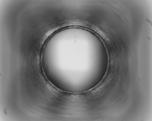 X0000096401264200801240956