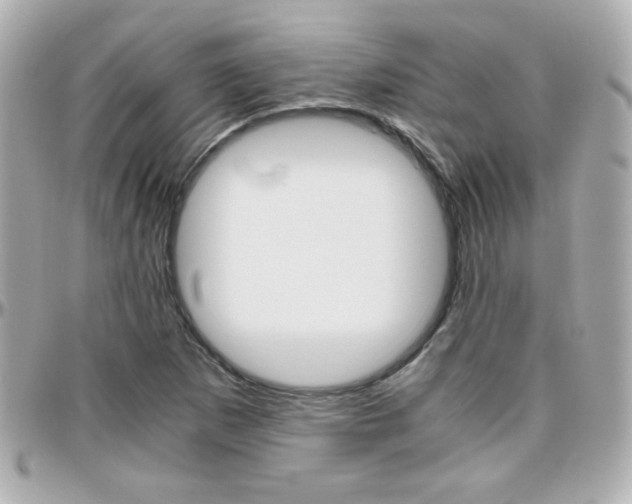 X0000096401265200801240956