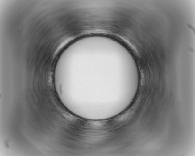 X0000096401266200801240956