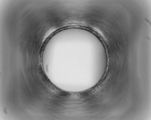 X0000096401267200801240956