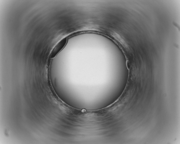 X0000096401268200801240956