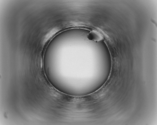 X0000096401269200801240956