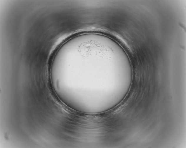 X0000096401270200801240956