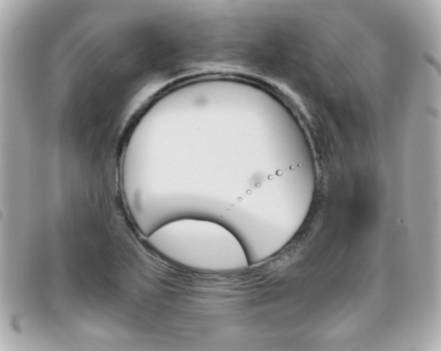 X0000096401271200801240956