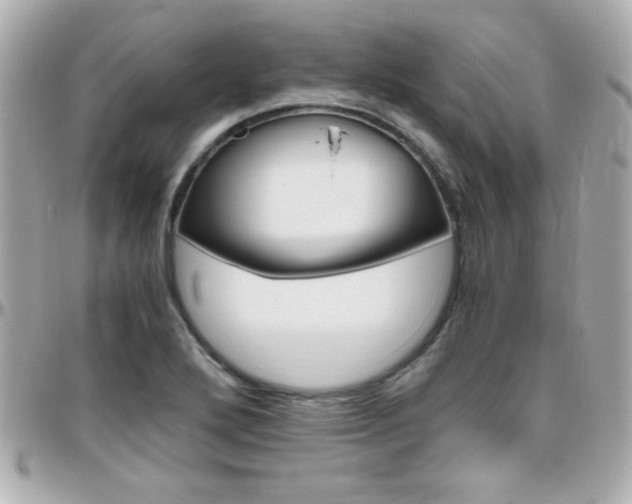 X0000096401272200801240956